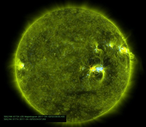 Imagem registrada pelo satélite SDO, da NASA, mostra a região ativa AR2644 no comprimento de onda do ultravioleta extremo. 