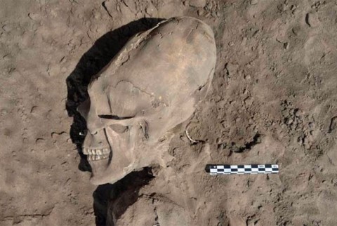 Um dos crânios deformados achados no cemitério de Onavas. Ao total, ossadas de 25 pessoas foram encontradas no local.