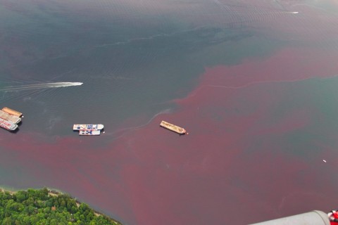 Águas de Vancouver tornam-se vermelhas em Julho de 2019.