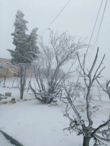 Inverno rigoroso surpreende meteorologistas e moradores de regiões da Arábia Saudita Foto: Reprodução/Twitter(@slclv)