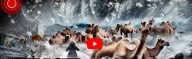 Deserto se tinge de branco com gigantescas pedras de gelo (vídeo)