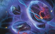 Cientistas mudam DNA de embriões humanos