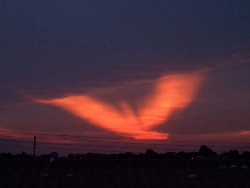 Um pássaro vermelho brilhante apareceu no céu sobre uma cidade brasileira em 31-10-2019, como se a Fênix estivesse ressurgindo. Foto via Facebook.