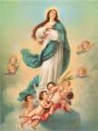 08 de Dezembro - Festa da Imaculada Conceição de Maria