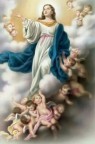 08 de Dezembro - Imaculada Conceição de Maria