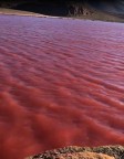 Rio Nilo; e as águas tornam-se vermelhas novamente...