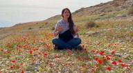 O DESERTO E A TERRA ÁRIDA SE REGOZIJARÃO (Is 35 1) - Terras áridas ao redor do Mar Morto florescem - Profecia se cumprindo!