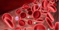 Estes alimentos aumentam as plaquetas do sangue – não deixe de consumi-los!