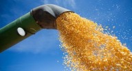 “E VI APARECER UM CAVALO PRETO, E O SEU CAVALEIRO TINHA UMA BALANÇA NA MÃO” (Ap 6, 5) – Agenda 2030 quer redução da produção de alimentos. 