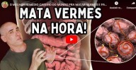 Remédio caseiro para matar vermes e parasitas em 7 dias (vídeo)