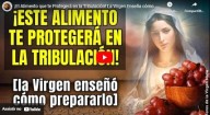 O alimento indicado pela Virgem para nos alimentarmos na Grande Tribulação (vídeo)