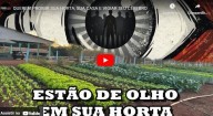 Querem proibir sua horta, sua casa e vigiar seu cérebro (vídeo)