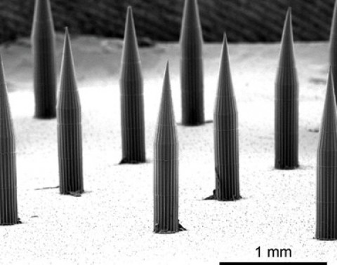 Microagulhas permitem depositar pontos quânticos sob a pele (Foto: Divulgação Kevin J McHugh MIT)