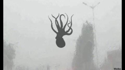 Polvo caindo do céu durante uma furiosa tempestade em cidade costeira da China, em 13 de junho de 2018.