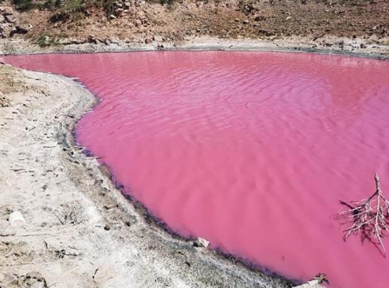 A laguna de Chichimequillas fica rosa no México. Foto via Twitter.