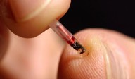 Coletânea sobre o MICROCHIP