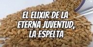 O ELIXIR DA JUVENTUDE, revelado por Deus a Santa Hildegarda (vídeo)