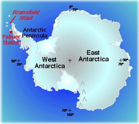 Mais de 50.000 terremotos atingiram o Estreito de Brainsfield na Antártida.
