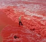 Praia torna-se vermelho brilhante no Irã
