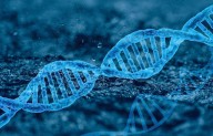 Comida e DNA: nossos genes são afetados pelo que comemos?