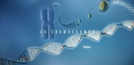 Seu DNA e os testes de Ancestralidade (vídeo)