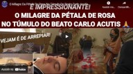 O milagre da pétala de rosa no túmulo do Beato Carlo Acutis (vídeo)
