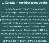 Que órgão gosta de que hábito? 
