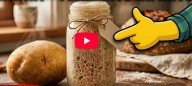 Levedura infinita de batata: o fermento vivo que quase desapareceu das cozinhas modernas