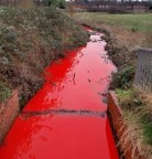 Água de rio fica vermelha como sangue na Inglaterra