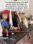 Ave contemplando a imagem de Nossa Senhora (vídeo)