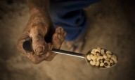 Coletânea sobre a FOME MUNDIAL